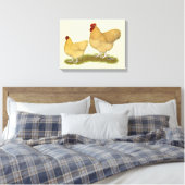 Orpingtons Lemon Cuckoo Leinwanddruck (Insitu (Schlafzimmer))