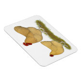 Orpingtons Lemon Cuckoo Magnet (Rechte Seite)