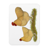 Orpingtons Lemon Cuckoo Magnet (Vertikal)