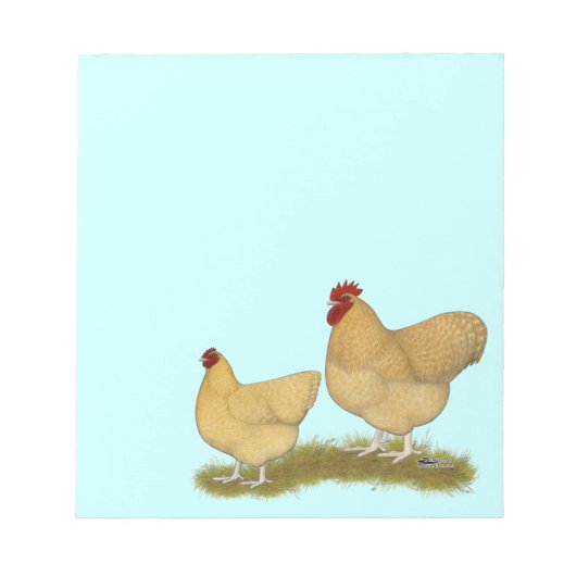Orpingtons Lemon Cuckoo Notizblock (Vorderseite)