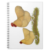 Orpingtons Lemon Cuckoo Notizblock (Vorderseite)