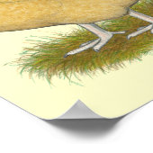 Orpingtons Lemon Cuckoo Poster (Ecke)