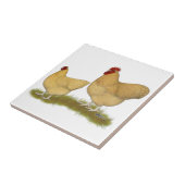 Orpingtons Zitronen-Kuckuck Fliese (Seite)