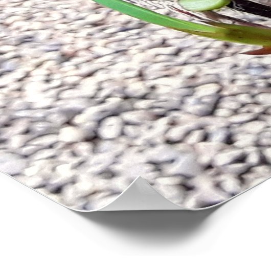 orquidea poster (Ecke)