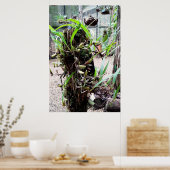 orquidea poster (Küche)