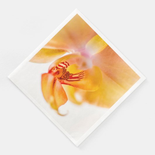 Orquídea Serviette (Ecke)