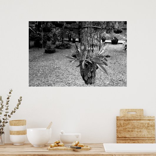 orquideas 02 poster (Küche)