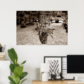 orquideas 03 poster (Heimbüro)