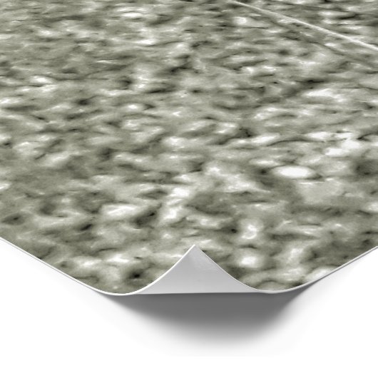 orquideas 04 poster (Ecke)