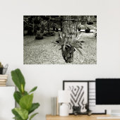 orquideas 04 poster (Heimbüro)