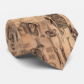 Orthopädischer Arzt Da Vinci entbeint Krawatte (Gerollt)