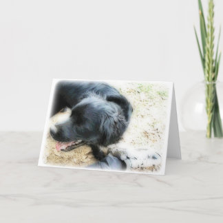 Orton Smokey und Matte Karte