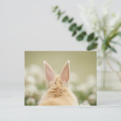 Oryctolagus cuniculus 2 postkarte (Stehend Vorderseite)