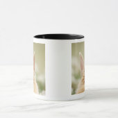 Oryctolagus Cuniculus 2 Tasse (Zentrum)