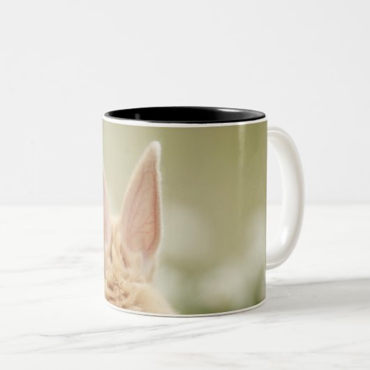 Oryctolagus Cuniculus 2 Zweifarbige Tasse (VorderseiteRechts)