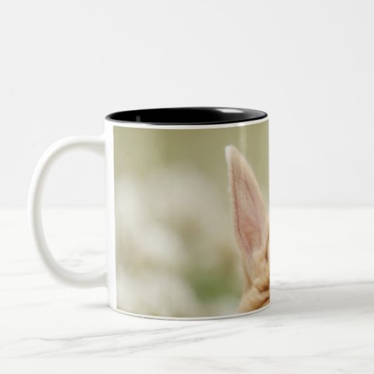 Oryctolagus Cuniculus 2 Zweifarbige Tasse (Links)