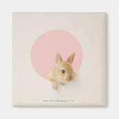 Oryctolagus cuniculus 3 magnet (Vorne)