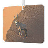 Oryx am Rand, Namibia Autolufterfrischer (Links)
