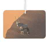 Oryx am Rand, Namibia Autolufterfrischer (Vorderseite)