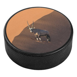 Oryx am Rand, Namibia Eishockey Puck