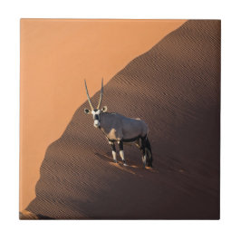 Oryx am Rand, Namibia Fliese