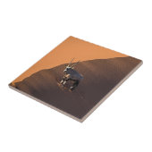 Oryx am Rand, Namibia Fliese (Seite)