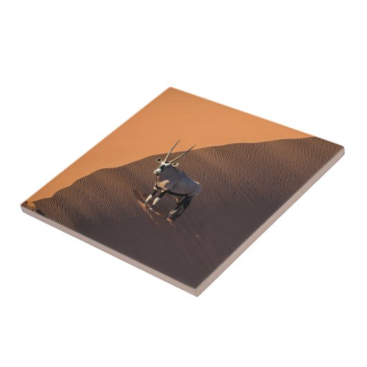 Oryx am Rand, Namibia Fliese (Seite)