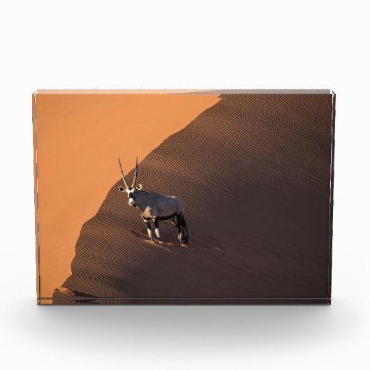 Oryx am Rand, Namibia Fotoblock (Vorderseite)