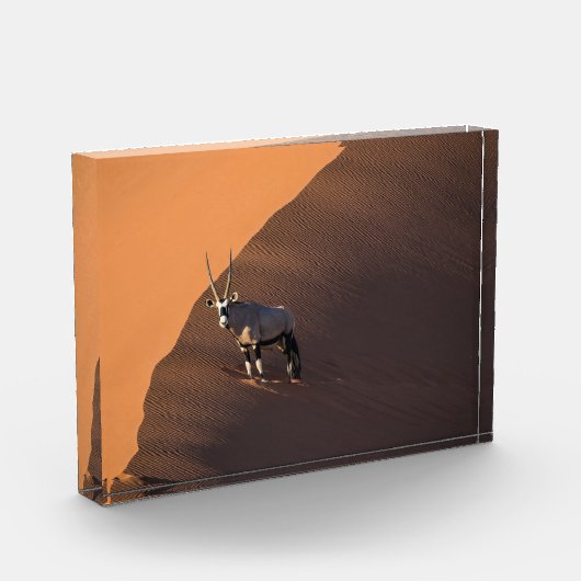 Oryx am Rand, Namibia Fotoblock (Links)