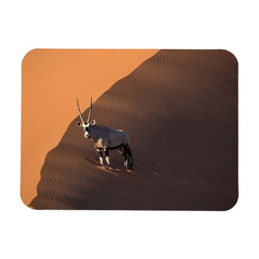 Oryx am Rand, Namibia Magnet (Horizontal)