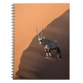 Oryx am Rand, Namibia Notizblock (Vorderseite)