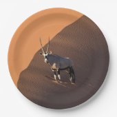 Oryx am Rand, Namibia Pappteller (Vorderseite)