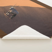 Oryx am Rand, Namibia Sherpadecke (3/4)