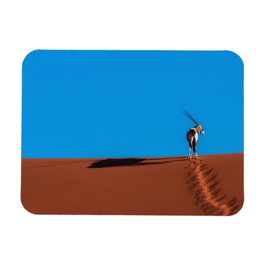 Oryx Antelope in der Namib-Wüste Magnet (Horizontal)