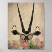 Oryx behind Protea flowers Poster (Vorne)