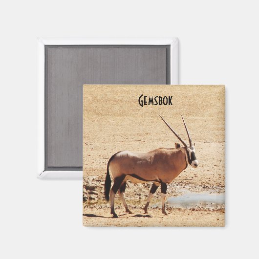 Oryx Gazella Kgalagadi Afrika Magnet (Vorderseite/Rückseite)