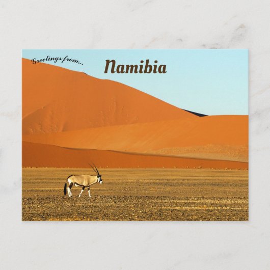 Oryx Gazella Namib Naukluft National Park Namibia Postkarte (Vorderseite)