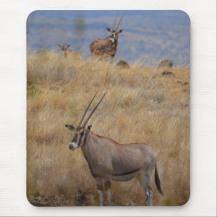 Oryx in Afrika Mousepad