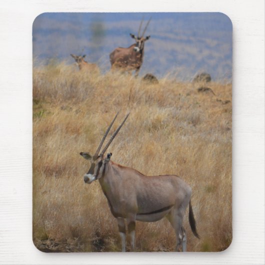 Oryx in Afrika Mousepad (Vorne)