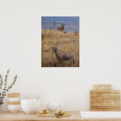 Oryx in Afrika Poster (Küche)