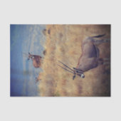 Oryx in Afrika Seidenpapier (Vorderseite)