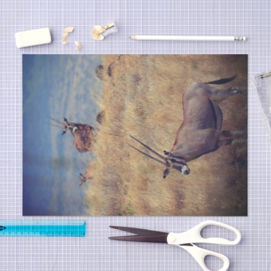 Oryx in Afrika Seidenpapier (Handwerk)
