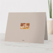 Os Avestruzes de Ponte de Lima / The Ostriches Karte (Rückseite)