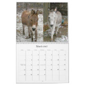 OSA Kalender (Mär 2027)