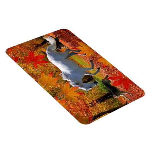 OSADAs FALL FUN Magnent Magnet (Rechte Seite)