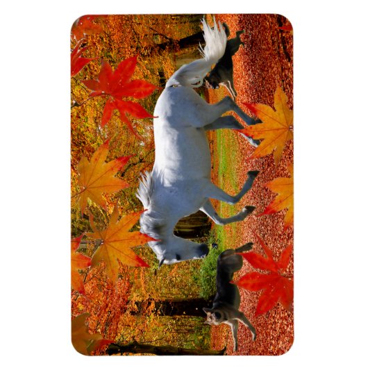 OSADAs FALL FUN Magnent Magnet (Vertikal)