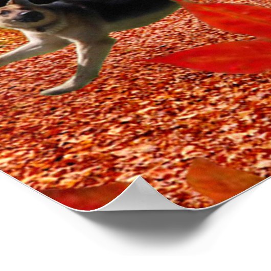 OSADAs FALL FUN Poster (Ecke)