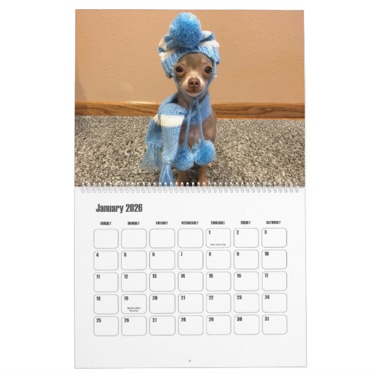 Oscar 2019 der blaue Chihuahuakalender Kalender (Jan 2026)