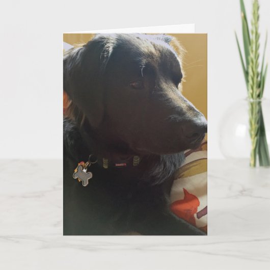 Oscar Black Dog Birthday Card Karte (Vorderseite)