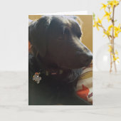 Oscar Black Dog Birthday Card Karte (Gelbe Blume)